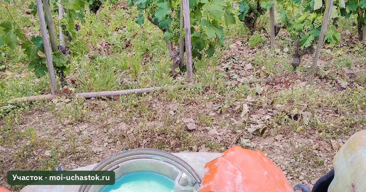 Бордоская жидкость в опрыскивателе