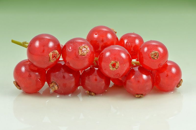 Красная смородина на кусте