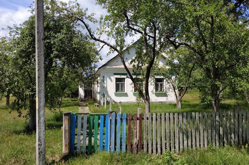 Плодовые деревья у сельского дома