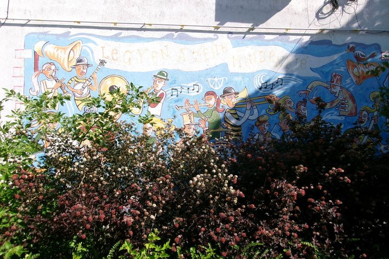 Пузыреплодник в посадке у стены