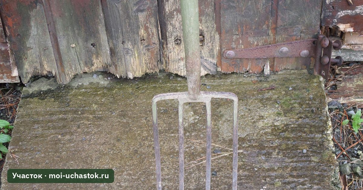 Садовые вилы