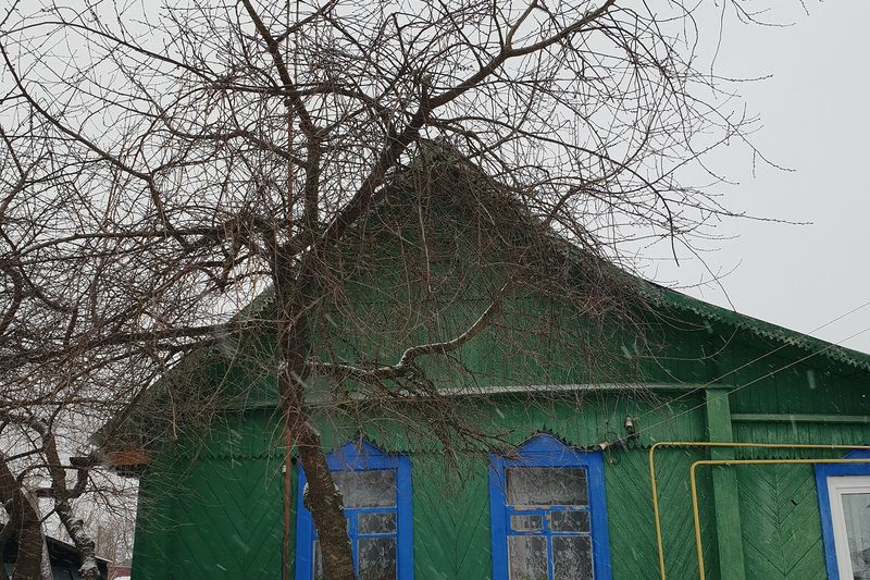 Деревянный дом под снегом