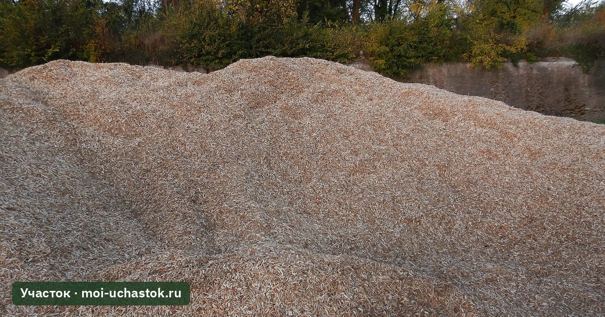 Измельчённый мискантус для мульчи