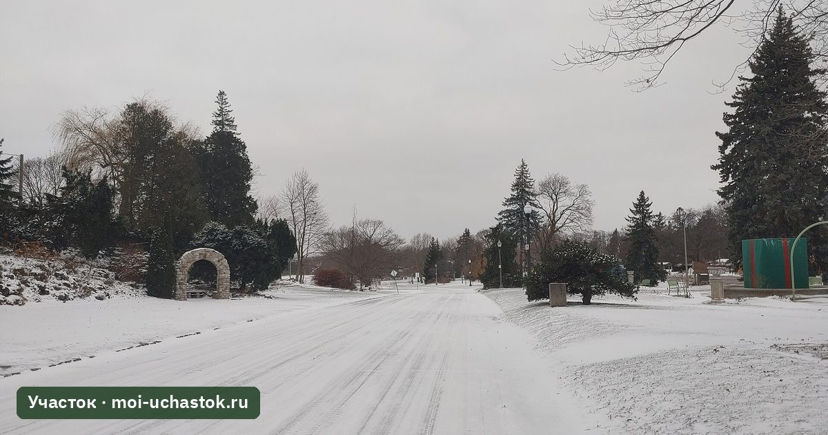 Первый снег в саду в начале зимы