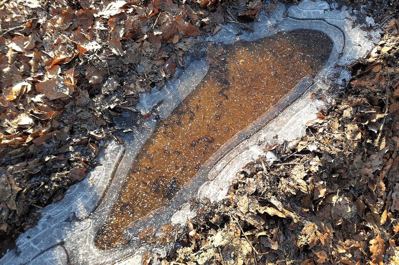 Замёрзшая лужа талой воды