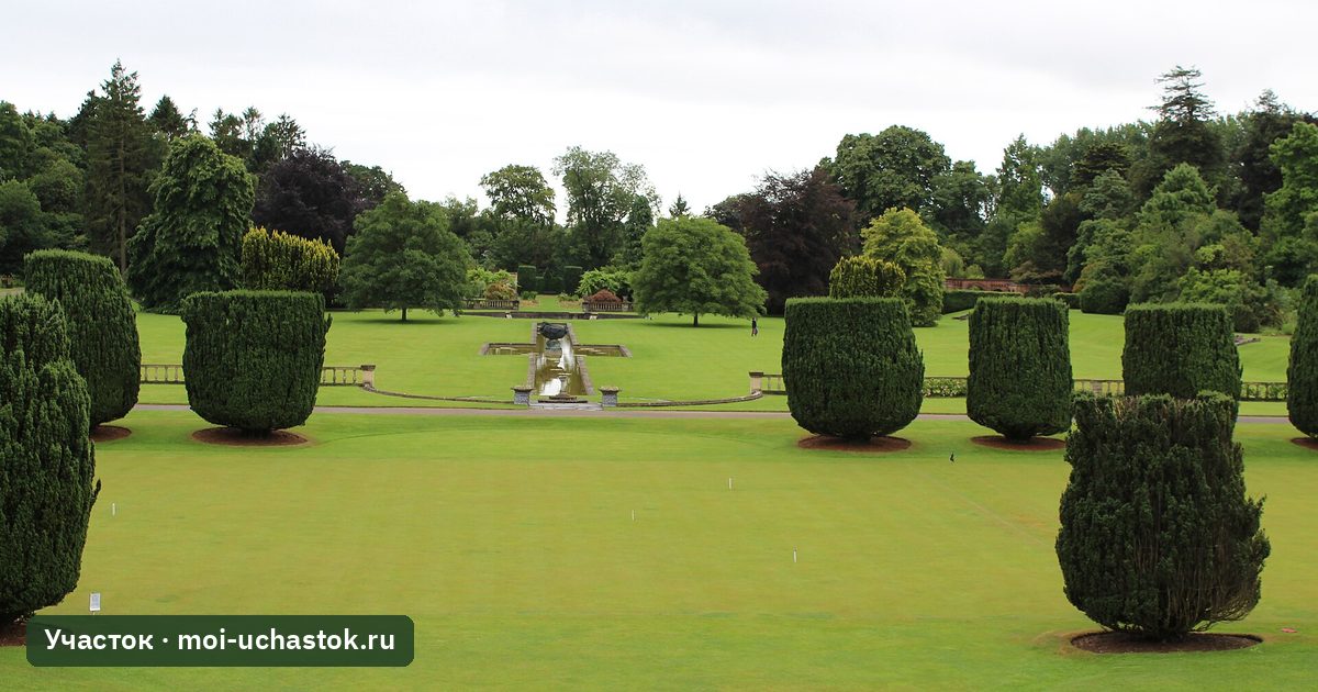 Большой газон в саду