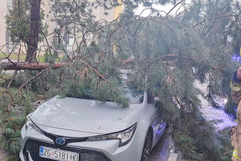 Дерево упало на автомобиль