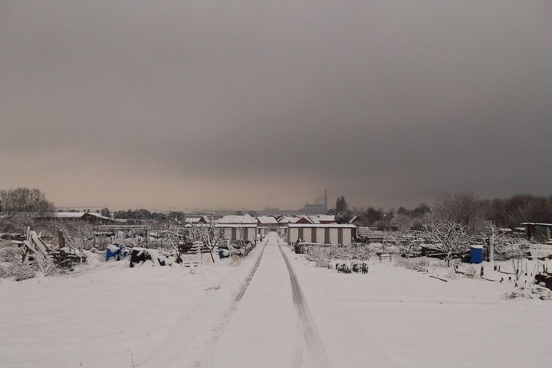 Грядки под снегом