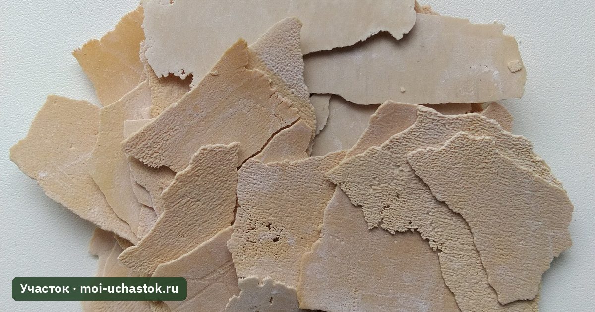 Хлопья накипи из электрического чайника