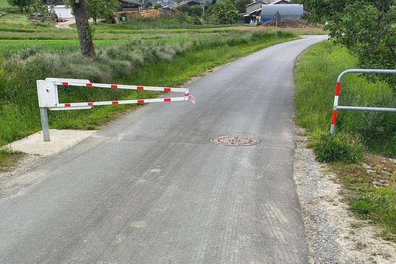 Распашная створка ворот