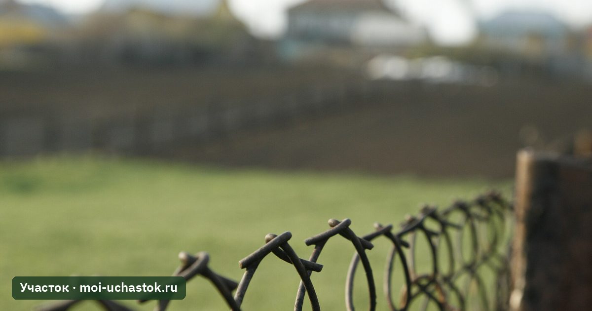 Забор из сетки-рабицы вокруг огородов